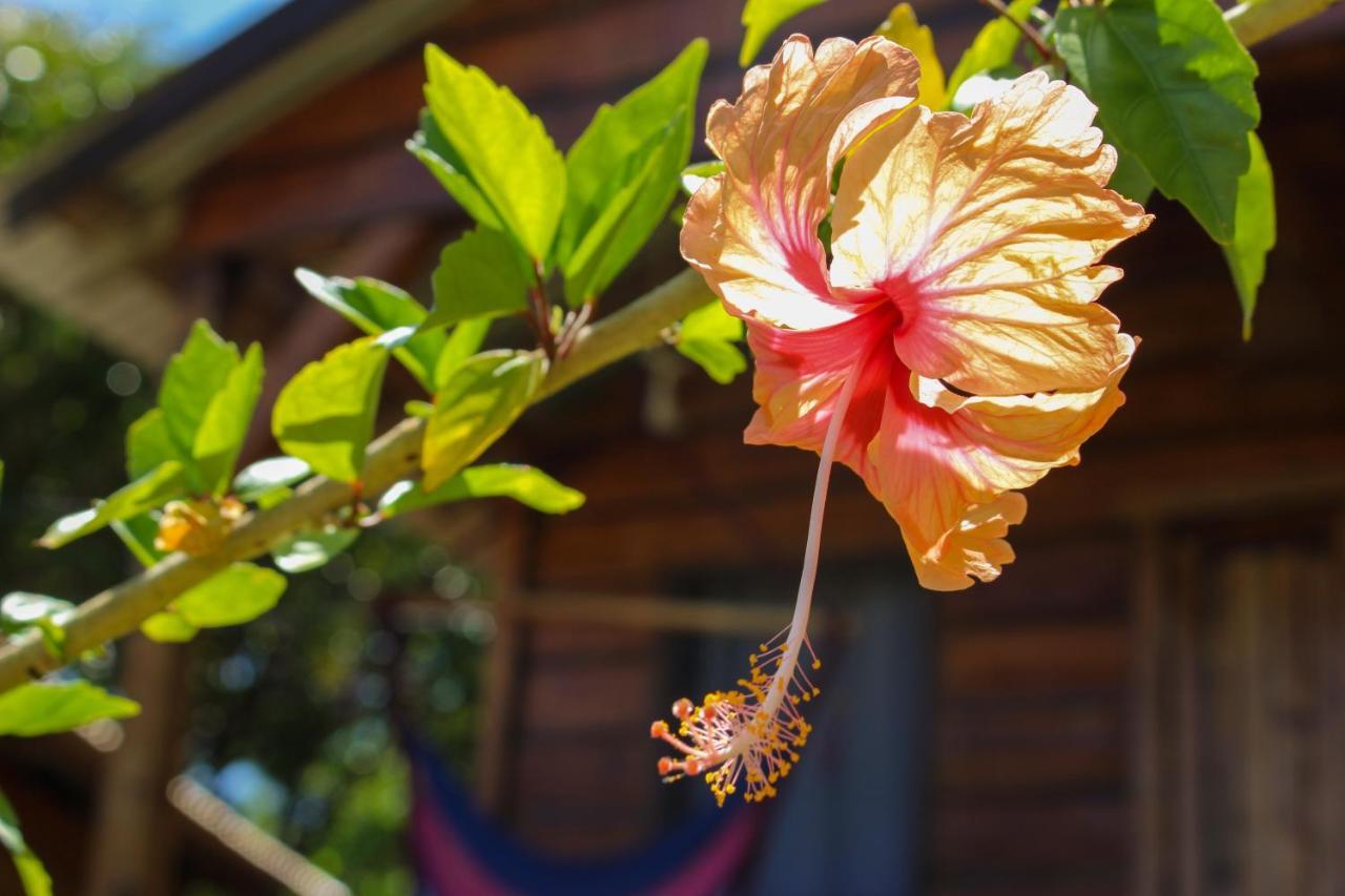 Hotel The Lighthouse Retreat, Little Corn Island, Nicaragua Exterior foto